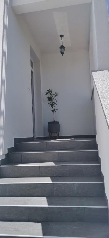Apartments Angeline Rovinjsko Selo Bagian luar foto